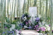 竹林风-婚礼策划图片