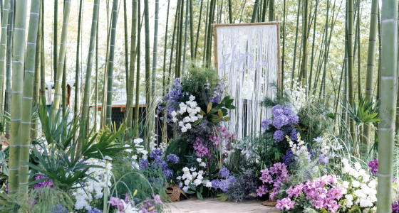 竹林风-婚礼策划图片