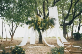 在树下，爱与自然相拥婚礼图片