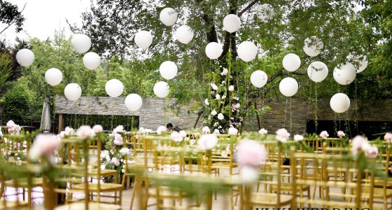 告白气球-婚礼策划图片