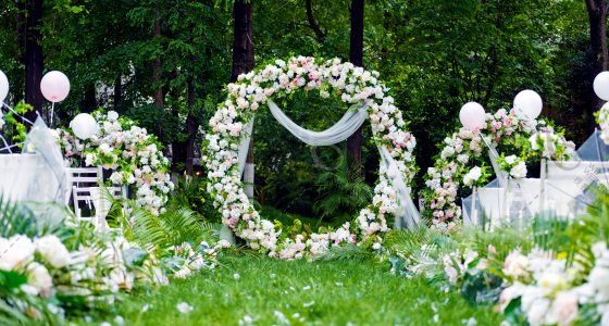 十八步岛户外小草坪-婚礼策划图片