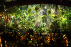 森系之迷雾森林婚礼图片