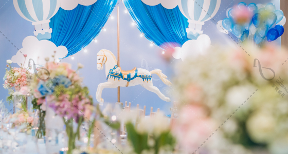 飞屋环游世界的小王子-婚礼策划图片