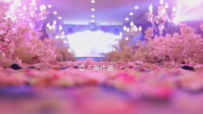 我们的故事粉色婚礼,青色婚礼,室内婚礼,小清新婚礼,西式婚礼,唯美婚礼
