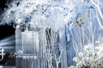 《My Wonderland》白色婚礼,蓝色婚礼,灰色婚礼,室内婚礼,主题婚礼,梦幻婚礼,大气婚礼