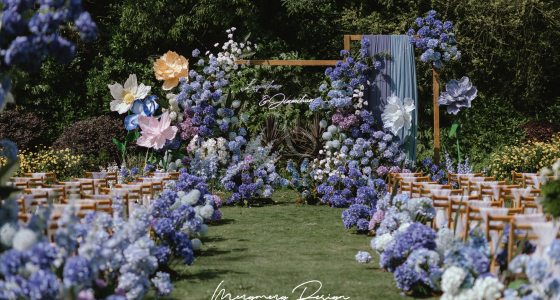 hydrangea-婚礼策划图片