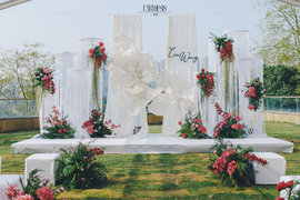 来到你的世界婚礼图片