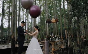 成都桉树林-（纪实走心电影调）总监双机婚礼婚礼图片