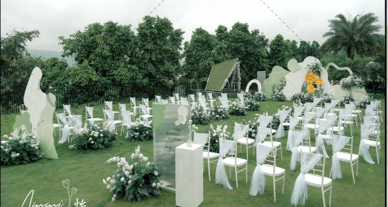 "Green"限定-婚礼策划图片