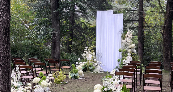 森林里的婚礼-婚礼策划图片