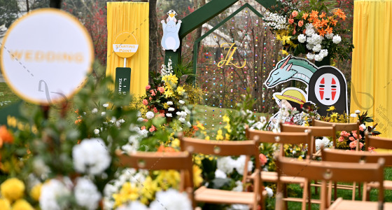 宫崎骏的春天-婚礼策划图片