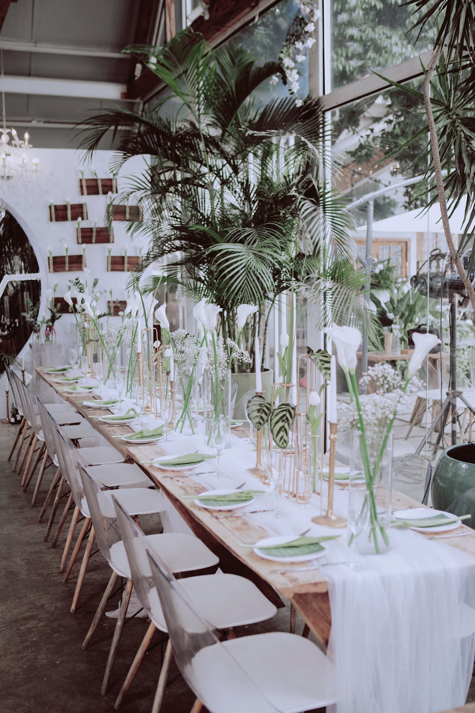Mint Banquet ? 磭/ Mint Banquet  ⳡԴǵֺϲɫһΡһ顱ͨ  ̨ͨһOοֵһǣҲǡOֵͣ   