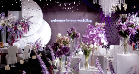 高级紫|小众韩式婚礼-婚礼策划图片