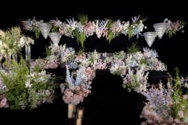 ZL韩式婚礼婚礼图片