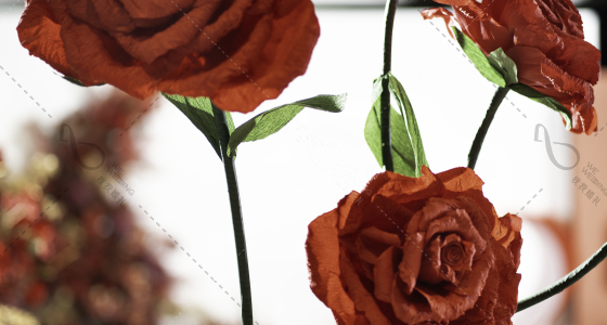 玫瑰为词 浪漫为题-婚礼策划图片