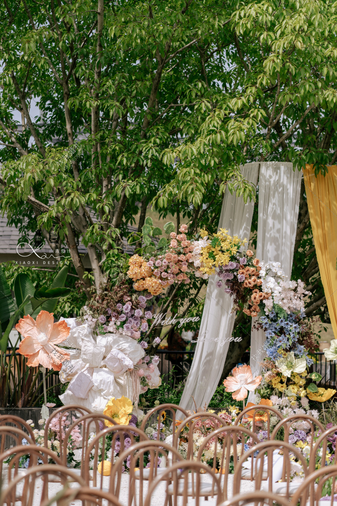 阿呆和木头的婚礼-黄户外唯美婚礼照片