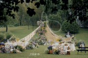 春树下的婚礼-婚礼策划图片