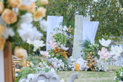 简约户外草坪/温暖如初-婚礼策划图片