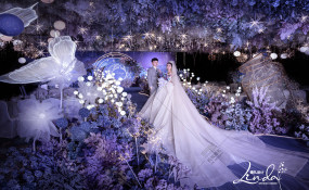 泰合索菲特大饭店-星空婚礼丨Starlight Garden婚礼图片