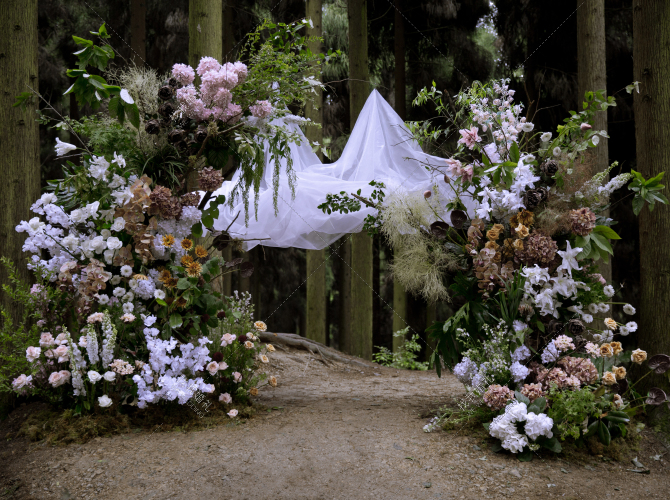 一场森林婚礼-婚礼策划图片