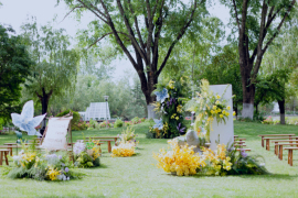 主题｜共赴爱的冒险婚礼图片