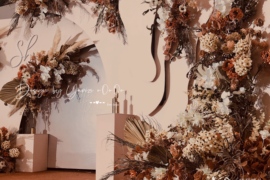 S&Z （手机拍摄）婚礼图片