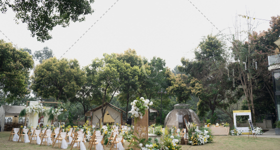 双山酒店户外草坪婚礼-婚礼策划图片