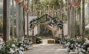 成都桉树林-暮光婚礼图片
