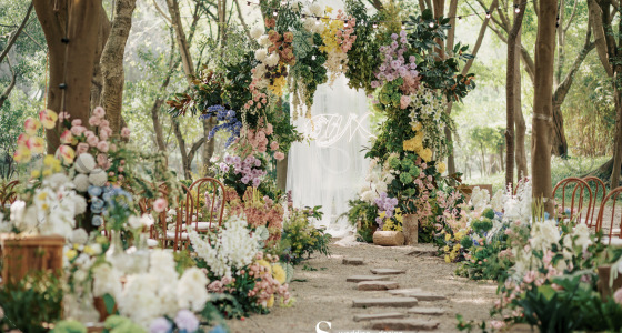 阳光下的彩色森林-婚礼策划图片