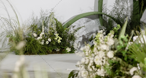 一如初见，赴一场白绿之约-婚礼策划图片
