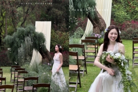 树洞婚礼图片