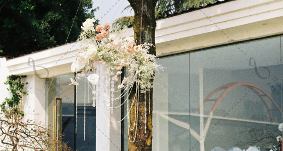 阳光与你｜裸粉色草坪户外婚礼-婚礼策划图片