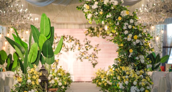 柠檬黄、植物、白色-婚礼策划图片