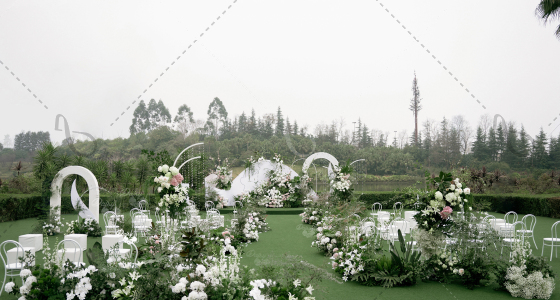 🍃【露滴与睡莲的爱-W&L】🍃-婚礼策划图片