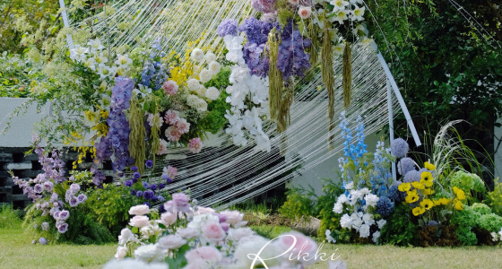 秋日斑斓-婚礼策划图片