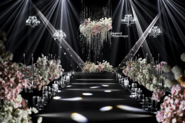 她眼里的星星婚礼图片