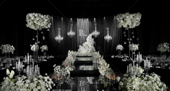 满天星韩式婚礼-婚礼策划图片