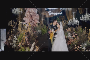 古堡里的油画-婚礼摄像图片