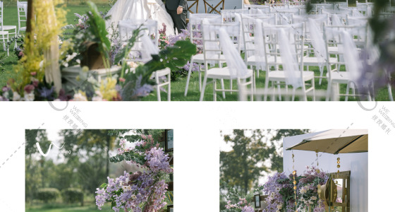 紫和秋-婚礼策划图片