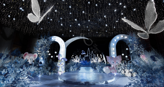 星空下的迪士尼-婚礼策划图片