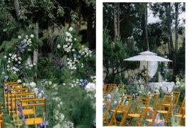 两颗树婚礼图片