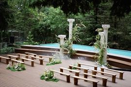 充满生机的小森林婚礼图片