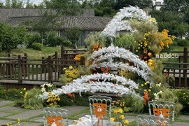 漫漫前路 羽你共赴婚礼图片