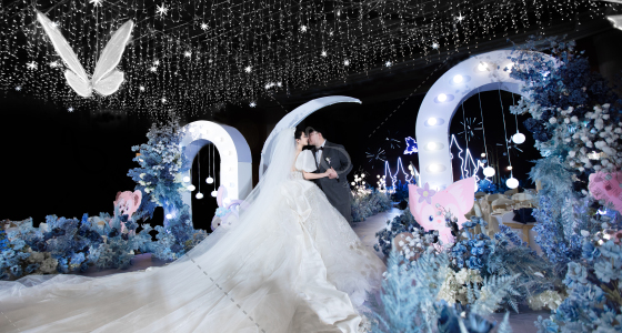 星空下的迪士尼-婚礼策划图片