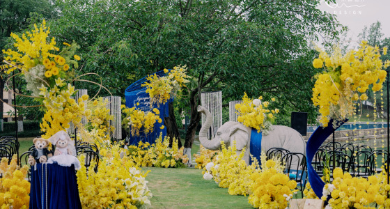 克莱因蓝和柠檬黄撞色小众婚礼-婚礼策划图片