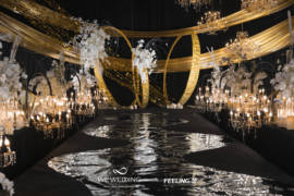 极致黑金婚礼图片