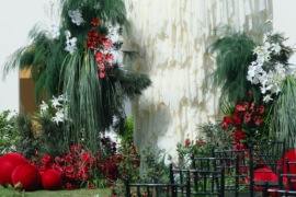 红绿色的户外婚礼图片