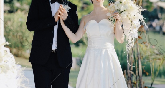 Beautiful white-婚礼策划图片