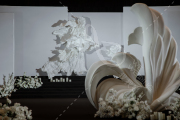 白色秀场风-婚礼策划图片