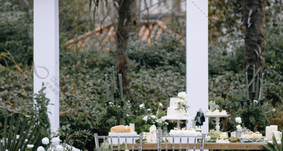 简洁大气的白绿色婚礼-婚礼策划图片